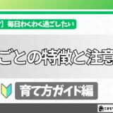 多肉植物の特徴と注意
