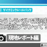 【新幹線の旅】JR東日本びゅうダイナミックレールパックを利用して長岡花火に行ってきた！