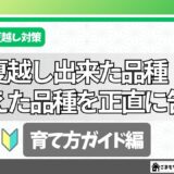 タイトル