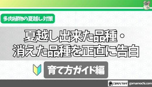 タイトル
