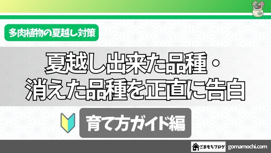 タイトル