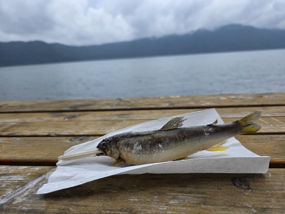 十和田湖を背景にした鮎の塩焼き
