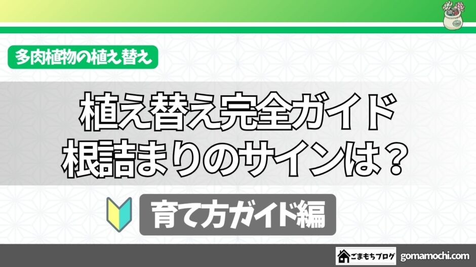 アイキャッチ画像