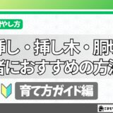 多肉植物の増やし方