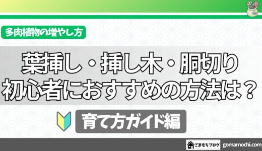 多肉植物の増やし方