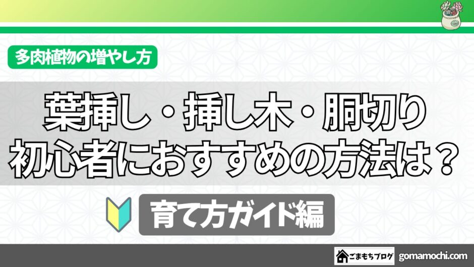 多肉植物の増やし方