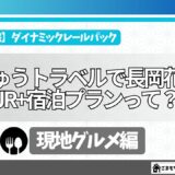ダイナミックレールパックで行く長岡花火