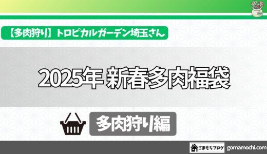 「【2025年多肉福袋】トロピカルガーデン埼玉さんの新春福袋【多肉植物購入レビュー】