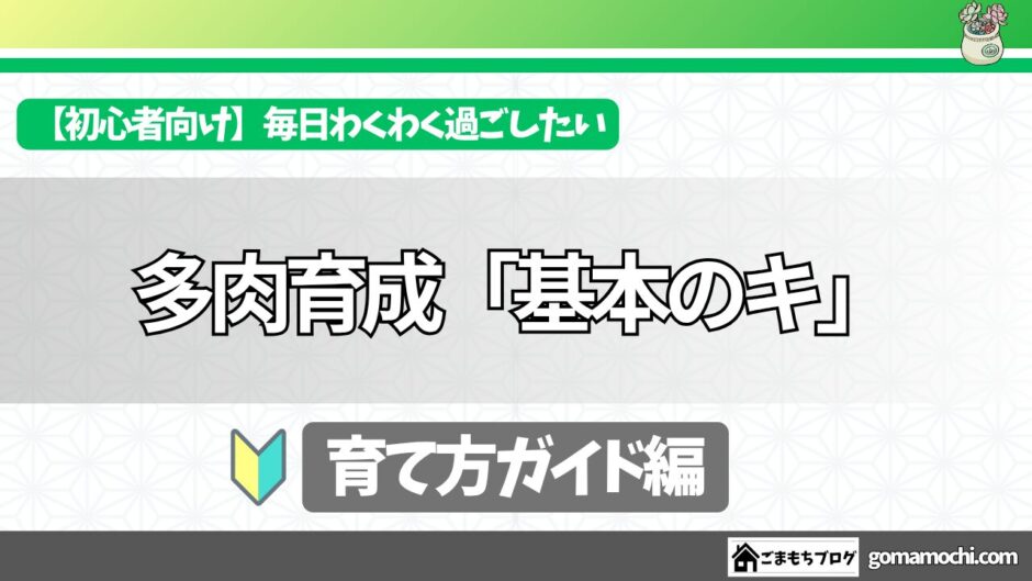 多肉植物の育て方