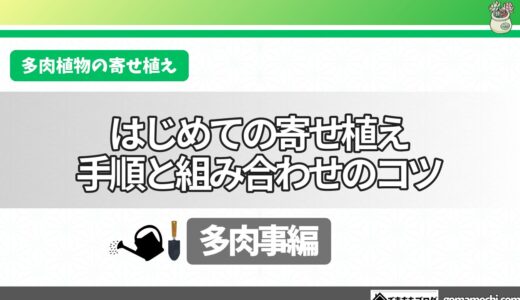 多肉植物の寄せ植えの作り方｜実際に作った手順と組み合わせのコツ